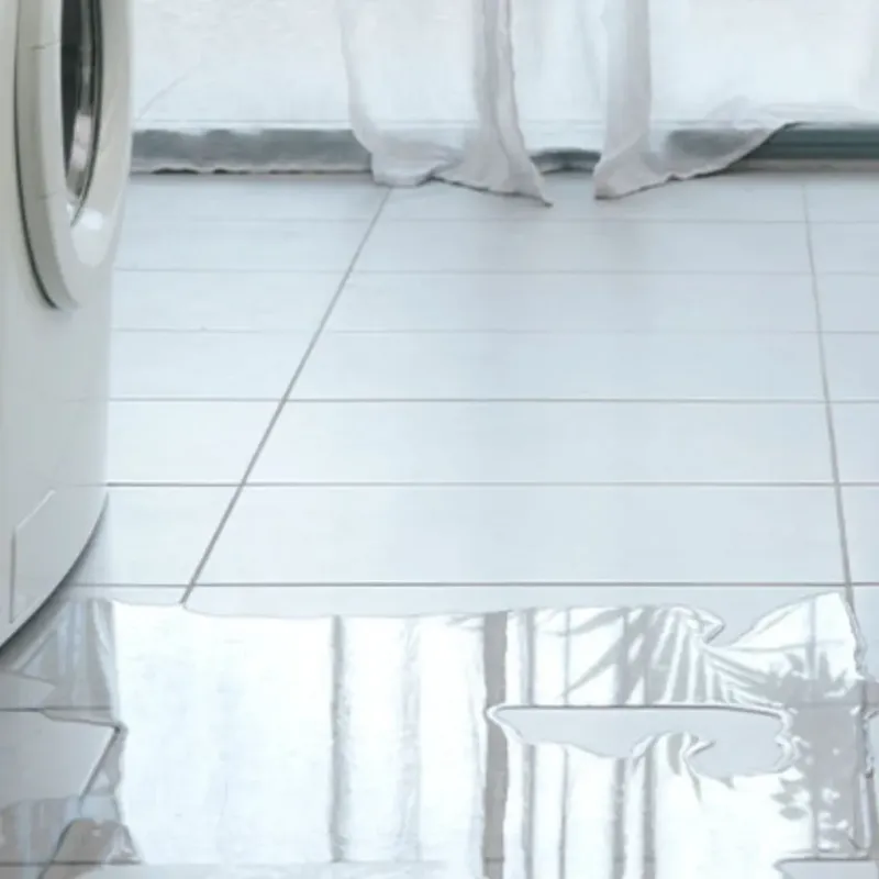 Appliance Leak Cleanup in Lockport, LA