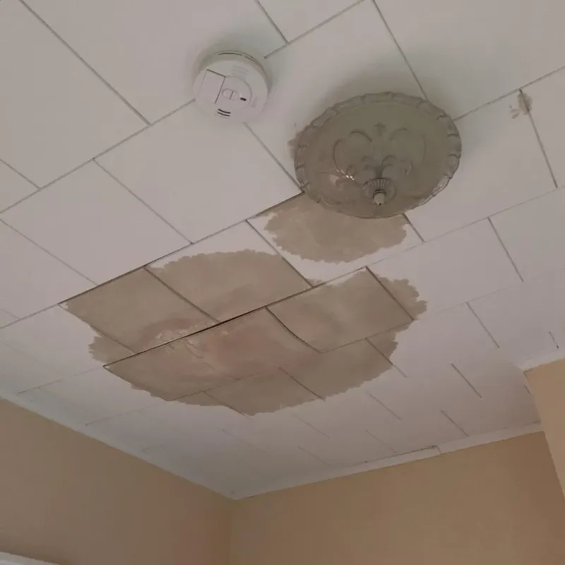 Ceiling Water Damage Repair in Lockport, LA