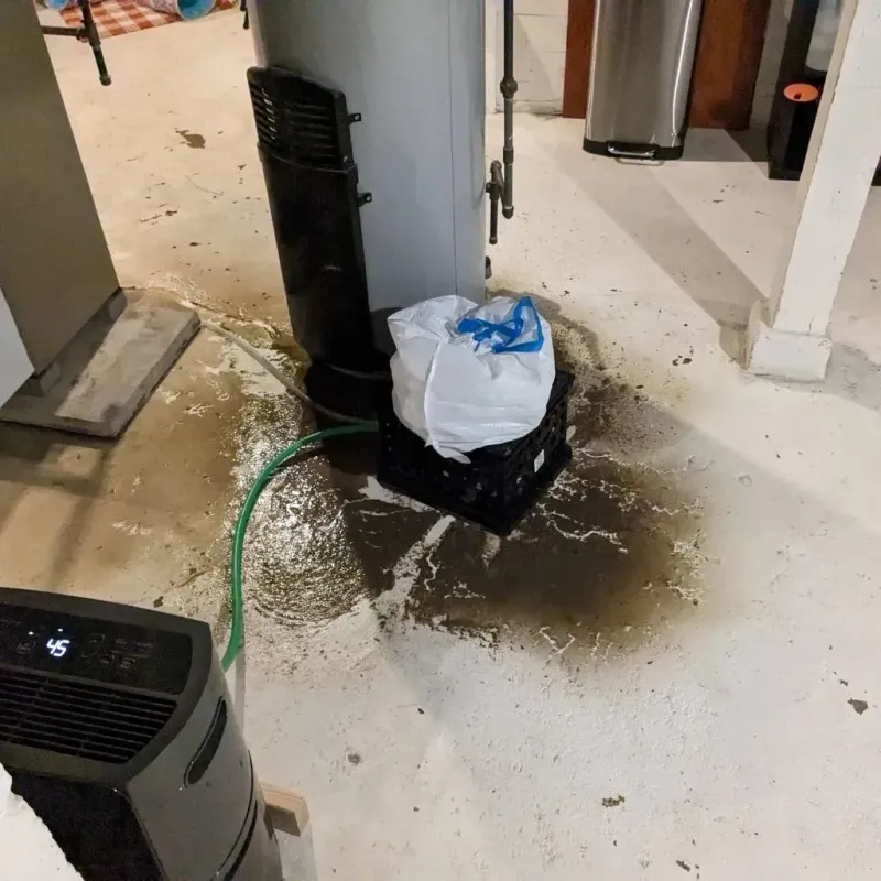 Sewage Backup Cleanup Service in Lockport, LA